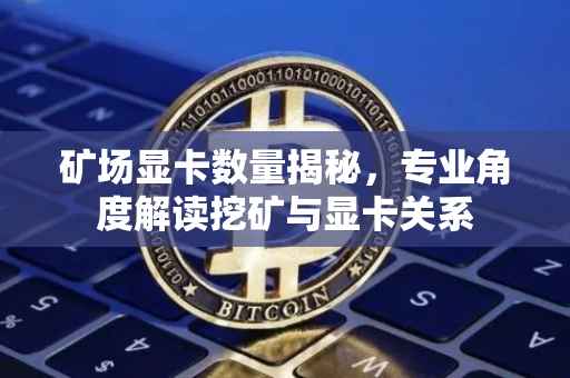 矿场显卡数量揭秘，专业角度解读挖矿与显卡关系