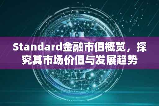 Standard金融市值概览，探究其市场价值与发展趋势