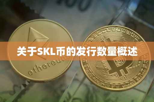 关于SKL币的发行数量概述