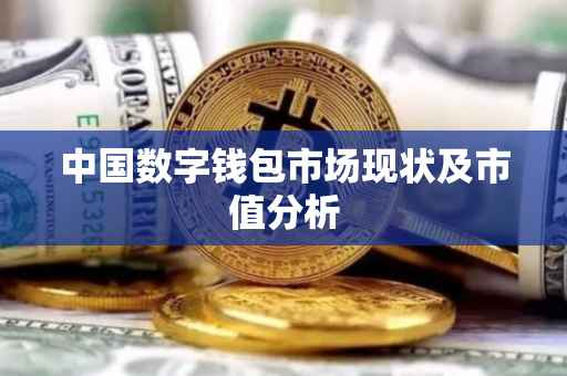 中国数字钱包市场现状及市值分析