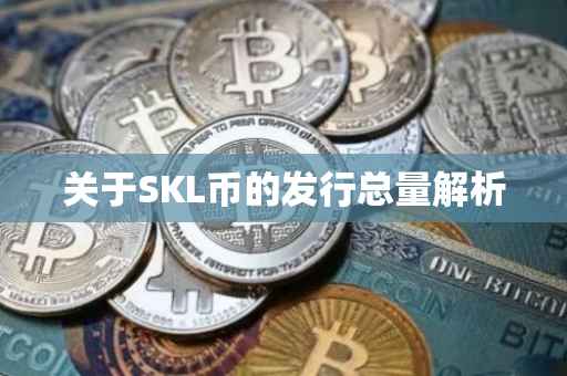 关于SKL币的发行总量解析