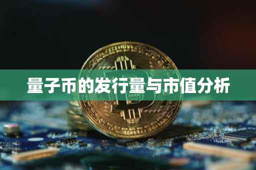 量子币的发行量与市值分析