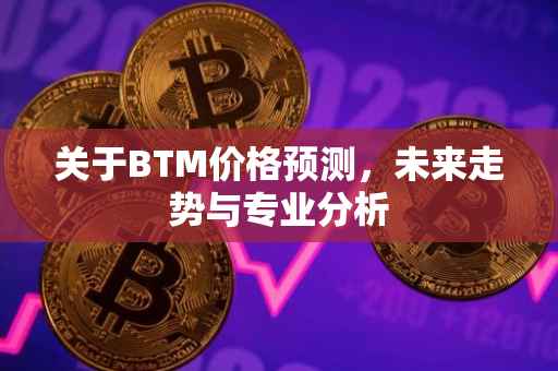 关于BTM价格预测，未来走势与专业分析