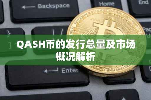 QASH币的发行总量及市场概况解析