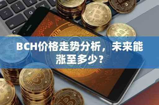 BCH价格走势分析，未来能涨至多少？