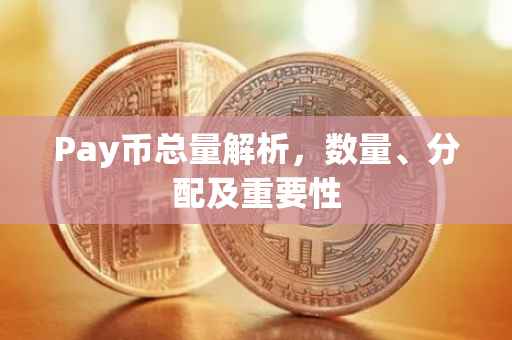 Pay币总量解析，数量、分配及重要性