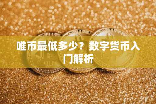 唯币最低多少？数字货币入门解析