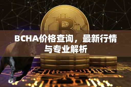 BCHA价格查询，最新行情与专业解析