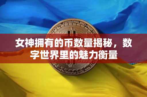 女神拥有的币数量揭秘，数字世界里的魅力衡量