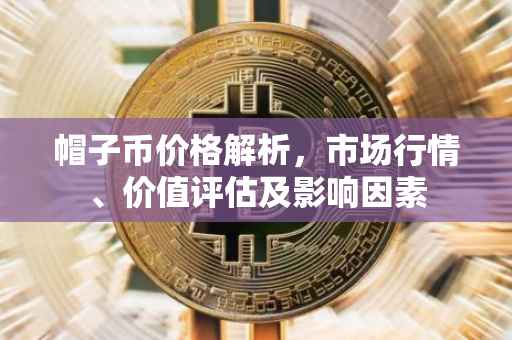 帽子币价格解析，市场行情、价值评估及影响因素