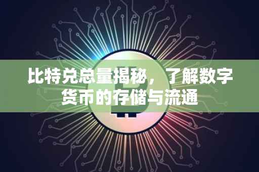 比特兑总量揭秘，了解数字货币的存储与流通