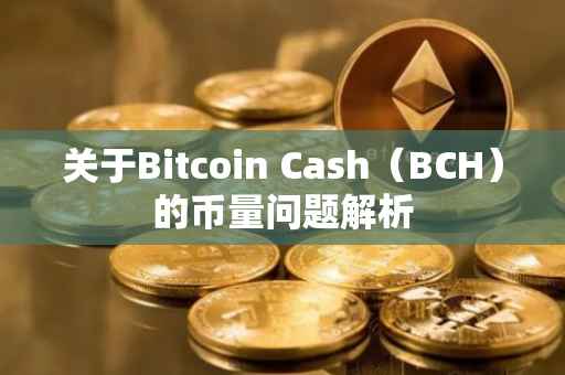关于Bitcoin Cash（BCH）的币量问题解析