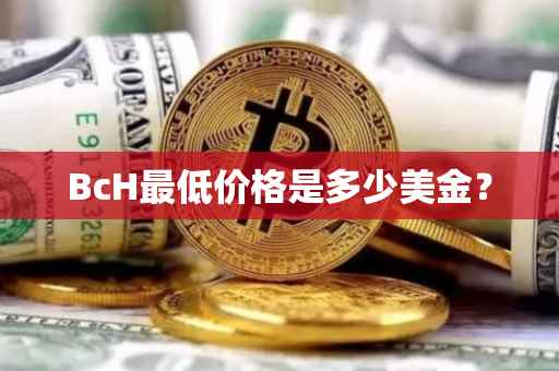 BcH最低价格是多少美金？