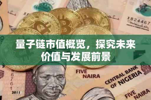 量子链市值概览，探究未来价值与发展前景