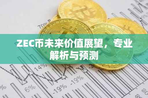 ZEC币未来价值展望，专业解析与预测