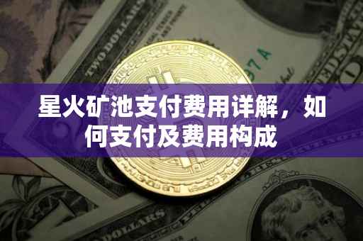 星火矿池支付费用详解，如何支付及费用构成
