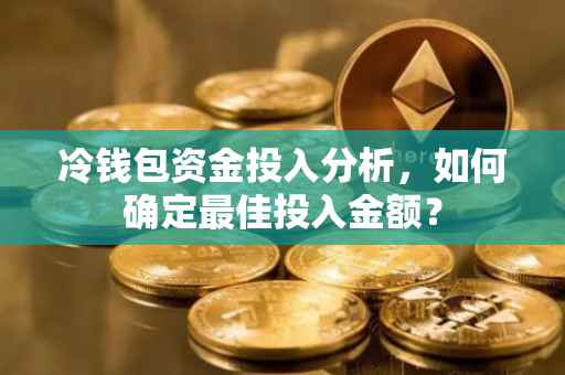 冷钱包资金投入分析，如何确定最佳投入金额？
