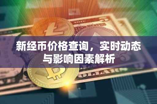 新经币价格查询，实时动态与影响因素解析