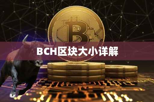 BCH区块大小详解