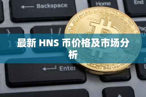 最新 HNS 币价格及市场分析