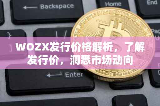 WOZX发行价格解析，了解发行价，洞悉市场动向