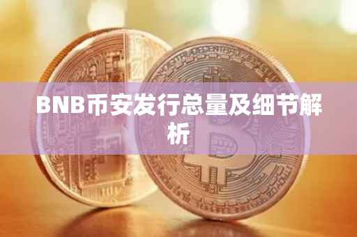 BNB币安发行总量及细节解析