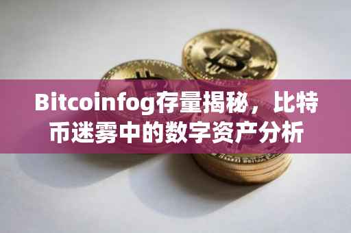 Bitcoinfog存量揭秘，比特币迷雾中的数字资产分析