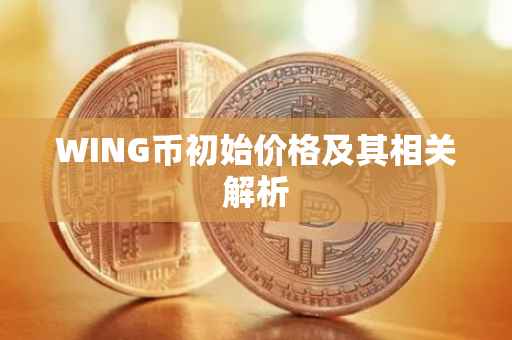 WING币初始价格及其相关解析