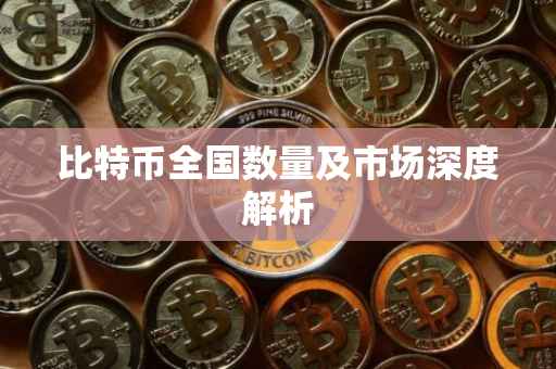 比特币全国数量及市场深度解析