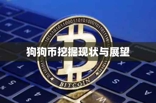 狗狗币挖掘现状与展望