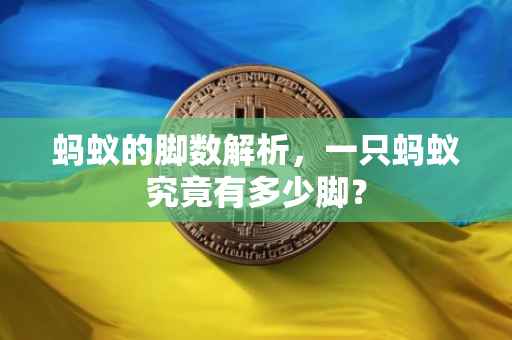 蚂蚁的脚数解析，一只蚂蚁究竟有多少脚？