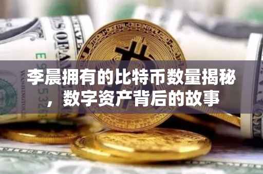 李晨拥有的比特币数量揭秘，数字资产背后的故事