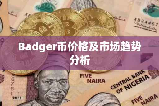 Badger币价格及市场趋势分析