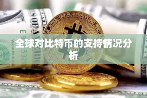 全球对比特币的支持情况分析