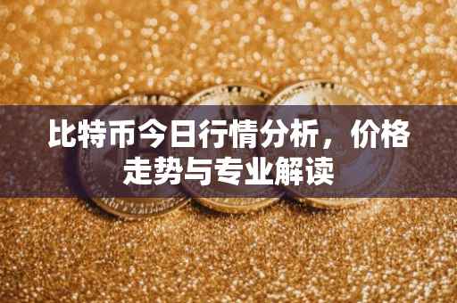 比特币今日行情分析，价格走势与专业解读