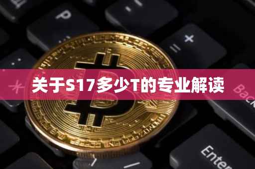 关于S17多少T的专业解读