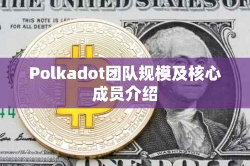 Polkadot团队规模及核心成员介绍