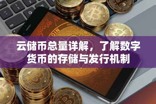 云储币总量详解，了解数字货币的存储与发行机制