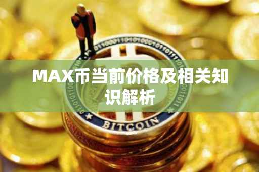 MAX币当前价格及相关知识解析