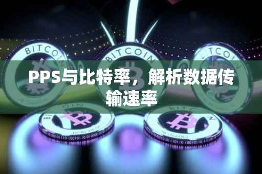 PPS与比特率，解析数据传输速率