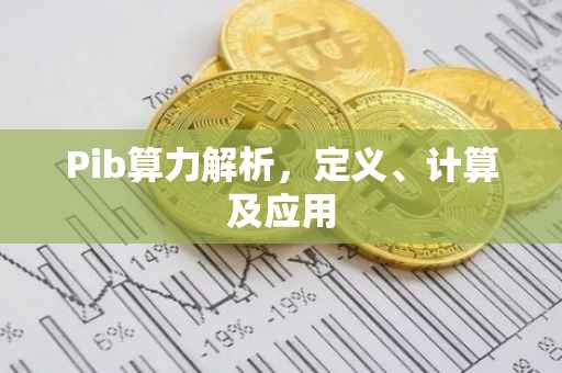 Pib算力解析，定义、计算及应用