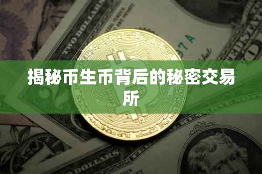 揭秘币生币背后的秘密交易所