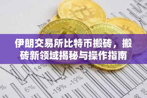 伊朗交易所比特币搬砖，搬砖新领域揭秘与操作指南