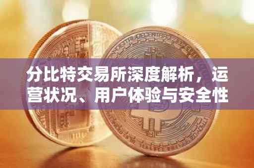 分比特交易所深度解析，运营状况、用户体验与安全性评估