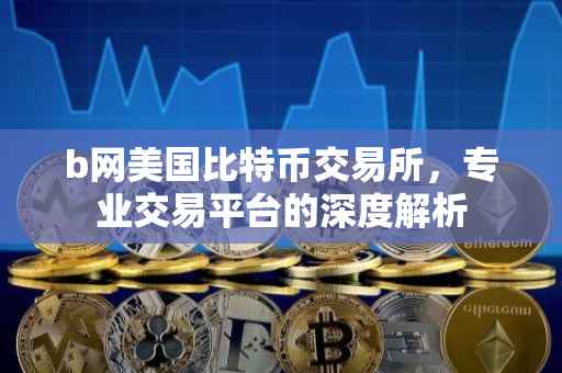 b网美国比特币交易所，专业交易平台的深度解析