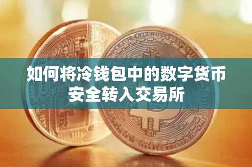 如何将冷钱包中的数字货币安全转入交易所
