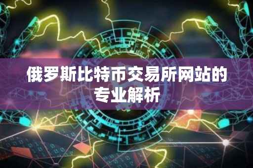 俄罗斯比特币交易所网站的专业解析