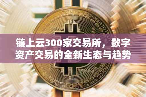 链上云300家交易所，数字资产交易的全新生态与趋势分析
