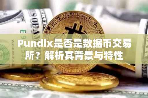 Pundix是否是数据币交易所？解析其背景与特性