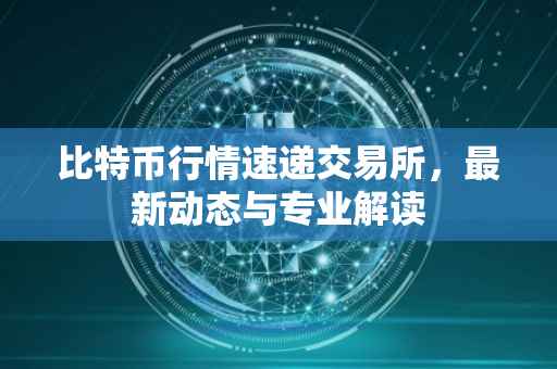 比特币行情速递交易所，最新动态与专业解读